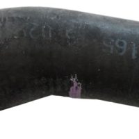 Radiator Outlet Hose