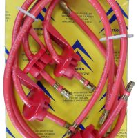 Citroen DS H T Leads