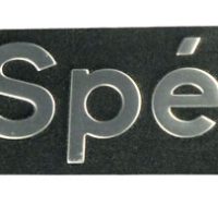 Citroen 2cv6 Special E badge