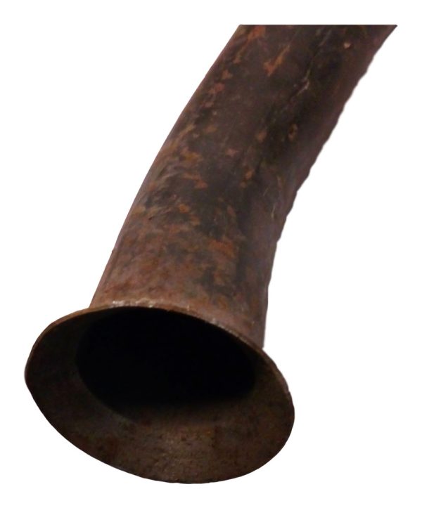 Citroen Ami Super Swan Neck Exhaust