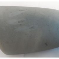 Mirror Cover Xsara right hand 815237