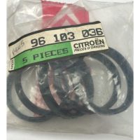 AX GTI INTAKE GASKETS 96103036