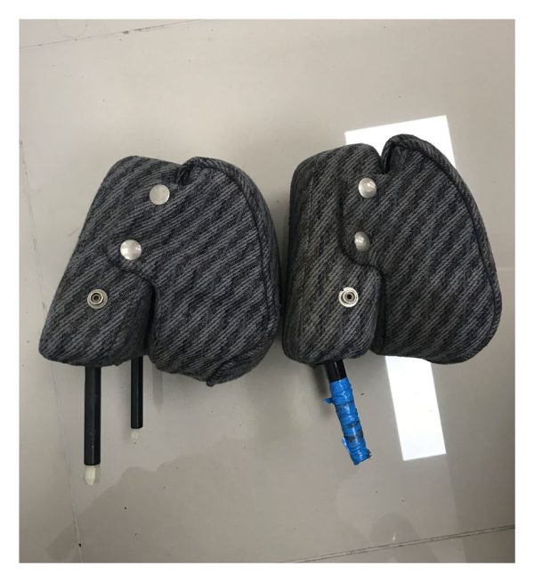 Pair of CX series 2 Headrests - USED