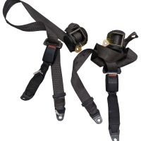 BX Rear Safety Belt - Seat belt BROWN TINT