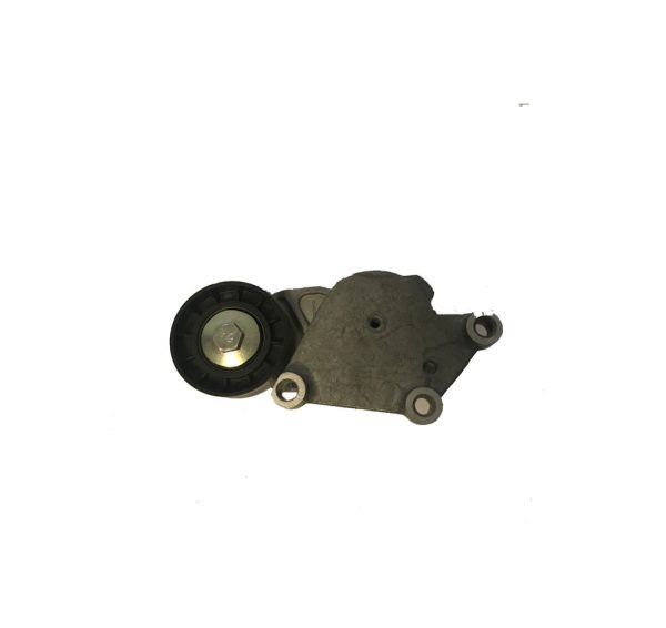 C1/C2/C3/C4/Pluriel Alternator Tensioner - 575186