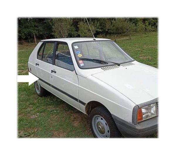 Citroen VISA Left Rear Door Moulding part