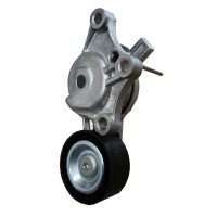 Citroen C4/C5 16 HDI Alternator Tensioner - 16314815
