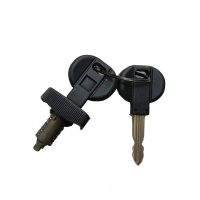 Citroen AX Tail Gate Lock - 96018246zl